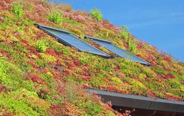 Cuthill living roof systems