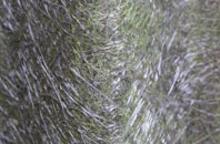 Cuthill fibreglass roof work